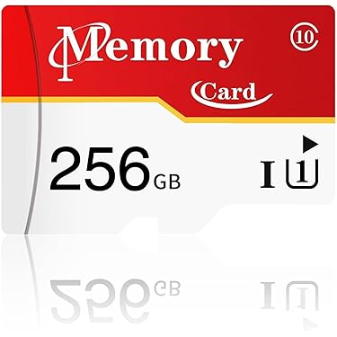 Amazon.co.jp 最新リリース: メモリーカード の新着ランキングです。